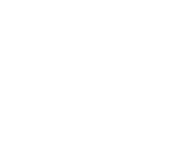 Spatzl-Logo-TYPE-SZ_SPATZL-Visual-Communication-sz_w